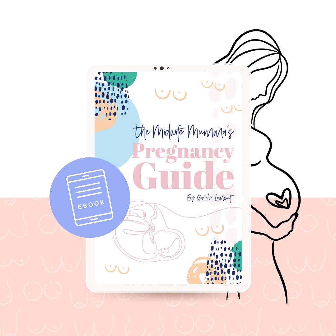 GUIDE - PREGGY GUIDE BY TMM (eBook)